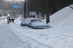 Попов считает что снег должны убирать не только коммунальщики