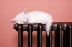 Киев начнет отопительный сезон 29 октября: столица готовится к зиме Киев начнет отопительный сезон 29 октября: столица готовится к зиме